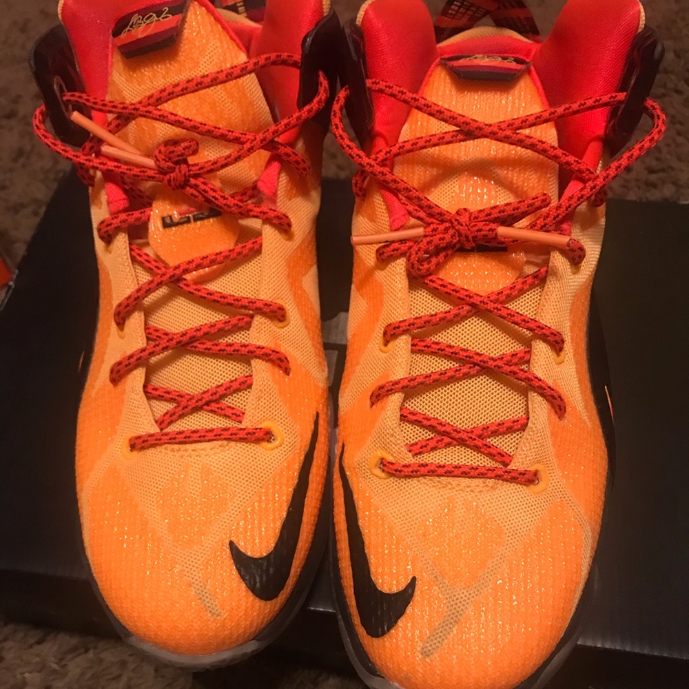 Lebron James Sneakers (USED)